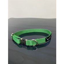 Leash Shop Köpek Boyun Tasma Takımı Yeşil 20-30 cm