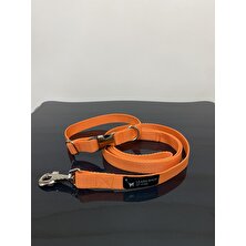 Leash Shop Köpek Boyun Tasma Takımı Turuncu 20-30 cm