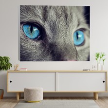 Deko Gonya Yakın Çekim Mavi Gözlü Kedi Dekoratif Kanvas Tablo