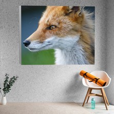 Deko Gonya Sevimli Tilki Dekoratif Kanvas Tablo 40X60
