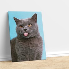 Deko Gonya Dil Çıkaran Kedi Temalı Dekoratif Kanvas Tablo