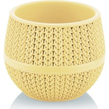 Serinova Amasra Saksı Sarı No:1 0,13 Lt