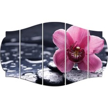 Renkselart Pembe Orkide Çiçeği Mdf TABLO-0737 (Model C)