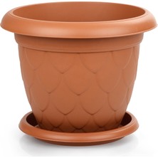 Serinova Damla Saksı