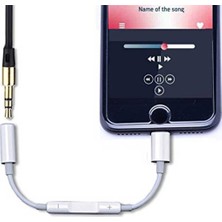 Fano 8 Pin Lightning Aux Çevirici Kablo