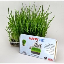 Happy Pet Kedi Çimi Seti 100GR. Karışım Çim Taze Paket  (PET25)