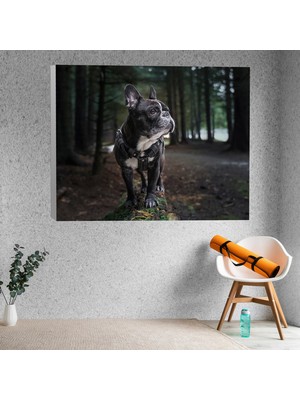 Deko Gonya French Bulldog Temalı Dekoratif Kanvas Tablo
