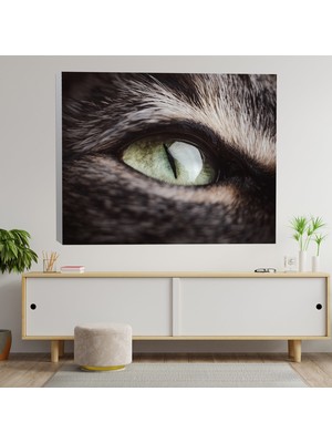 Deko Gonya Yakın Çekim Kedi Gözü Temalı Kanvas Tablo