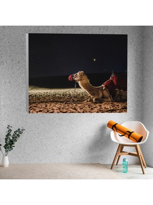Deko Gonya Deve Galaxy Temalı Dekoratif Kanvas Tablo