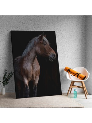 Deko Gonya At Dekoratif Kanvas Tablo