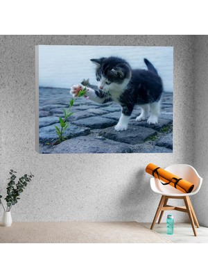 Deko Gonya Çiçekle Oynayan Yavru Kedi Dekoratif Kanvas Tablo