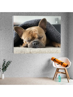Deko Gonya Bulldog Köpek Temalı Dekoratif Kanvas Tablo