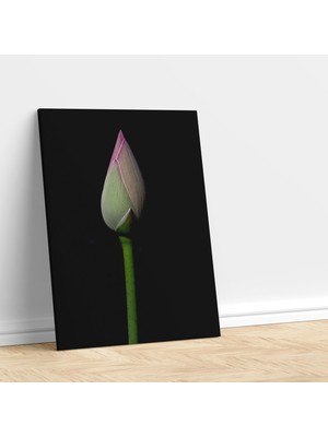 Deko Gonya Açılmamış Lotus Çiçeği Temalı Dekoratif Kanvas Tablo