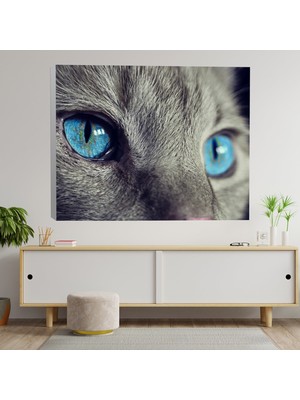 Deko Gonya Yakın Çekim Mavi Gözlü Kedi Dekoratif Kanvas Tablo