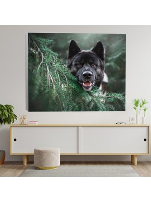 Deko Gonya Siyah Kurt Temalı Dekoratif Kanvas Tablo