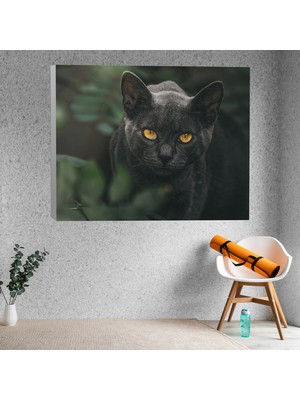 Deko Gonya Siyah Kedi Dekoratif Kanvas Tablo