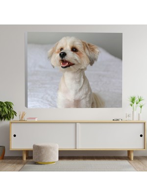 Deko Gonya Sevimli Shot Yavru Köpeği Dekoratif Kanvas Tablo