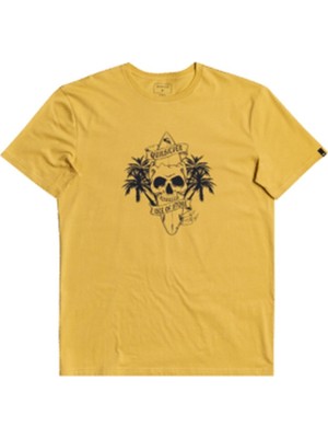 Quiksilver t Surfer Ss Hardal Erkek T-Shirt