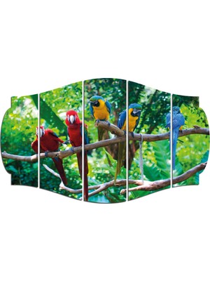 Renkselart Papağanlar Mdf TABLO-2909 (Model C)