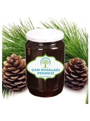 Çare Hakiki Çam Kozalağı Pekmezi