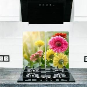 2'li 30 x 52 cm. Cam Ocak Koruyucu Cam Kesme Tahtası Model 341