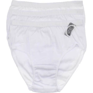 3040 6'lı Paket Ribana %100 Pamuk Yüksek Bel Bayan Bato Külot