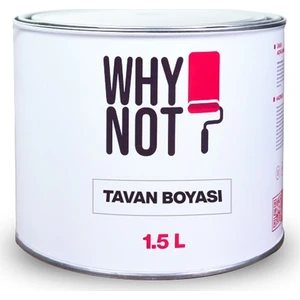 Whynot? Tavan Boyası