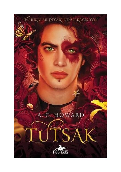 Tutsak: Kraliçe Serisi 3 - Ciltli - A. G. Howard