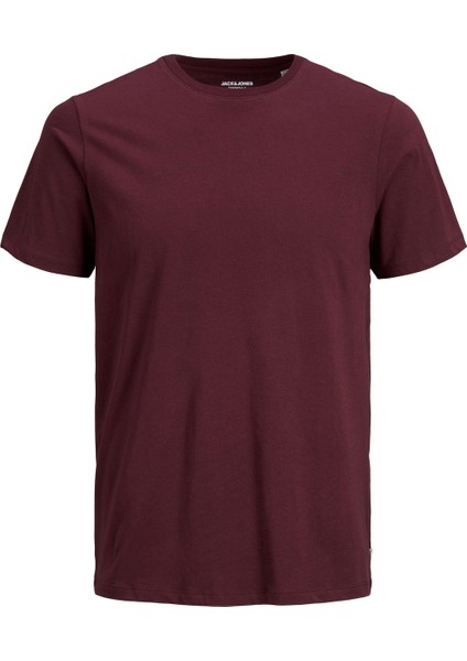 Bisiklet Yaka Basic Tişört-Organic