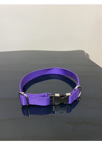 Leash Shop Köpek Boyun Tasma Takımı Mor 20-30 cm