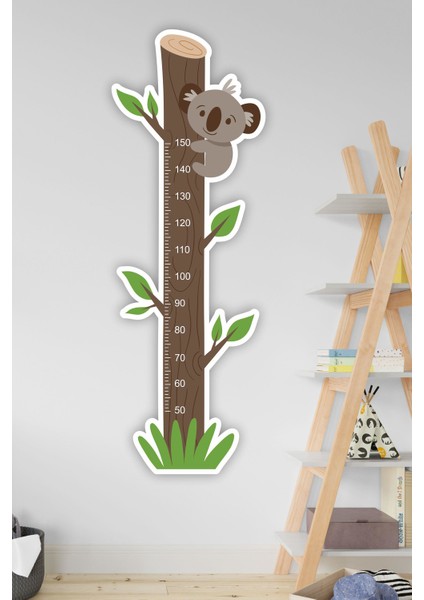 Sevimli Koala Çocuk Odası Boy Ölçer Duvar Sticker