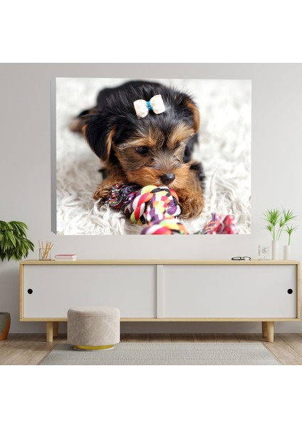 Yakın Çekim Küçük Şirin Köpek Dekoratif Kanvas Tablo