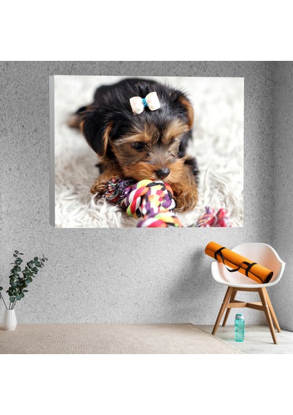 Yakın Çekim Küçük Şirin Köpek Dekoratif Kanvas Tablo fiyatları