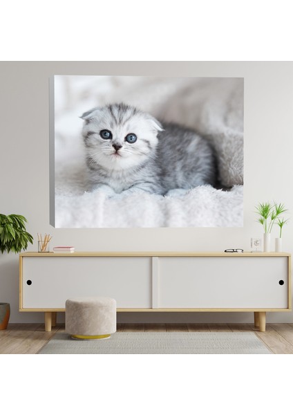 Sevimli Yavru Kedi Dekoratif Kanvas Tablo
