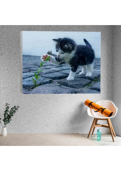 Çiçekle Oynayan Yavru Kedi Dekoratif Kanvas Tablo