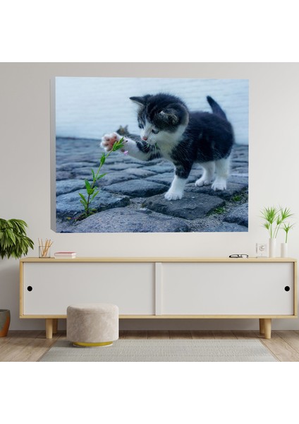 Çiçekle Oynayan Yavru Kedi Dekoratif Kanvas Tablo fiyatları
