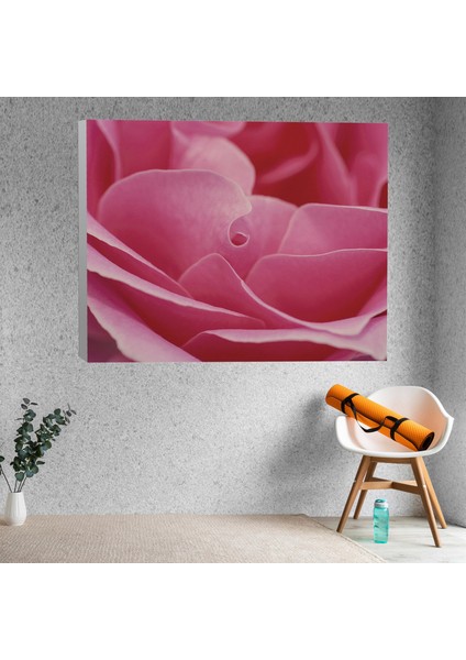 Pembe Gül Yaprağı Dekoratif Kanvas Tablo fiyatları