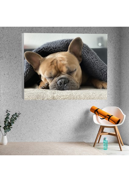 Bulldog Köpek Temalı Dekoratif Kanvas Tablo