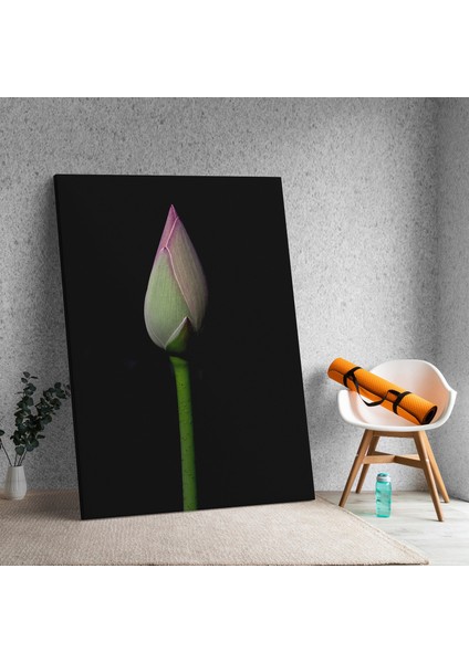 Açılmamış Lotus Çiçeği Temalı Dekoratif Kanvas Tablo