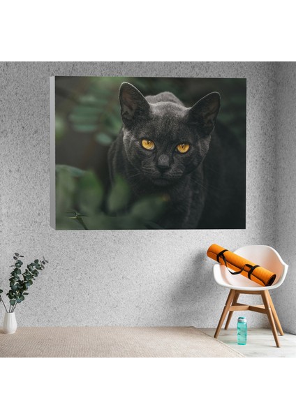 Siyah Kedi Dekoratif Kanvas Tablo