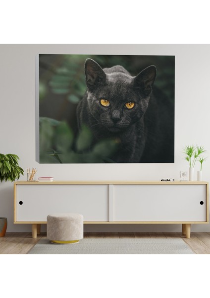 Siyah Kedi Dekoratif Kanvas Tablo fiyatları