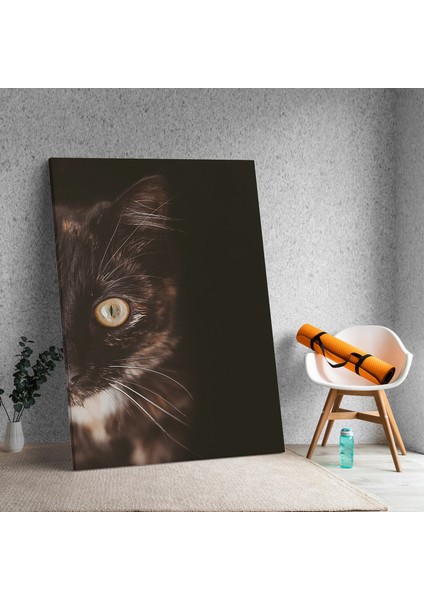 Siyah Beyaz Sevimli Kedi Dekoratif Kanvas Tablo fiyatları