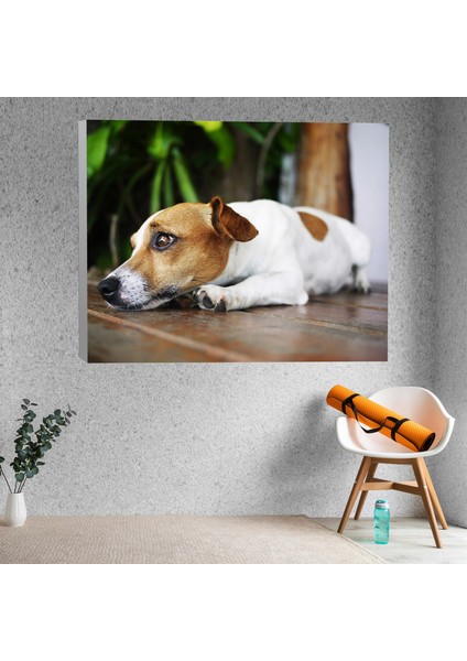 Sevimcil Yavru Köpek Dekoratif Kanvas Tablo