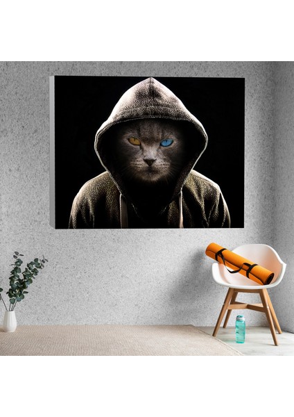Renkli Gözlü Kapşonlu Kedi Adam Dekoratif Kanvas Tablo