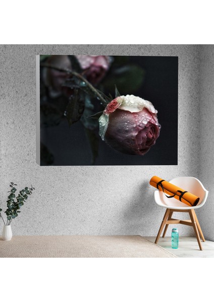 Gül Damlama Yağmur Damlası Dekoratif Kamvas Tablo