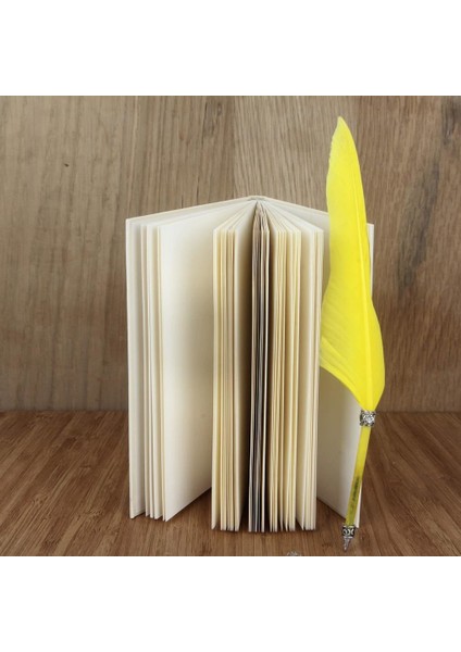 Baykuş Temalı Sert Kapak Lastikli Defter Tüylü Kalem Seti