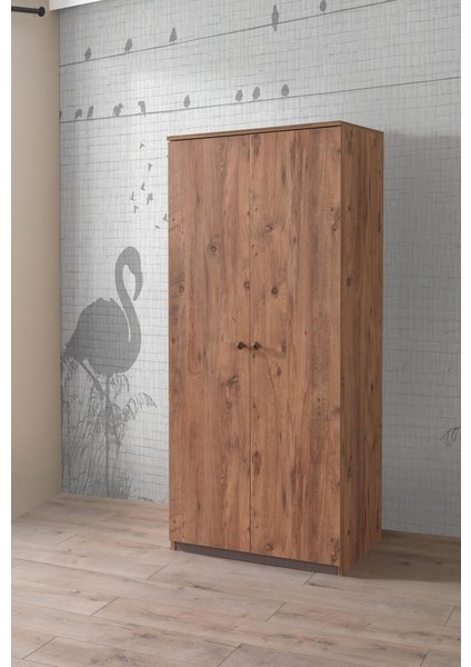 Ekonomik 2 Kapılı Gardrop Elbise Dolabı 80x53x180cm