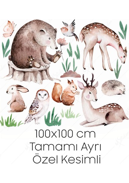 Sevimli Hayvanlar Geyik Baykuş Ayı Sincap Çocuk Odası Duvar Sticker modelleri