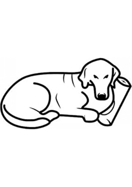 Hotel Açık Kahverengi Köpek Yatağı M 70cm fırsatları