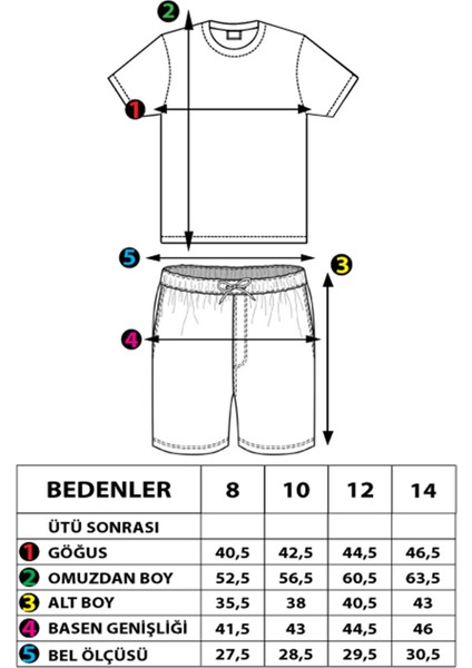 Erkek Çocuk Baskılı Şerit Detaylı Şortlu Takım modelleri
